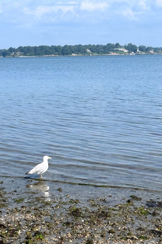 Connecticut beaches